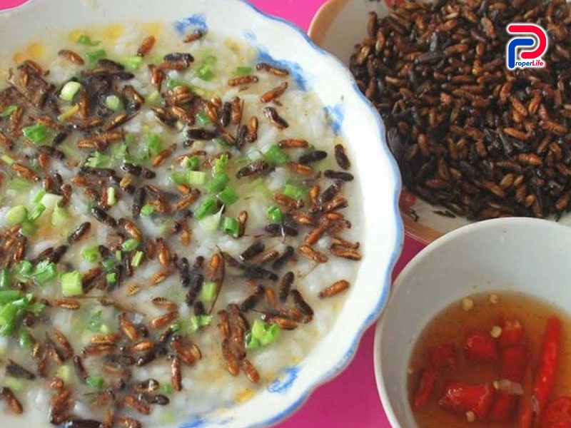 Top 7 món ăn độc lạ ở Việt Nam mà ít ai dám thử