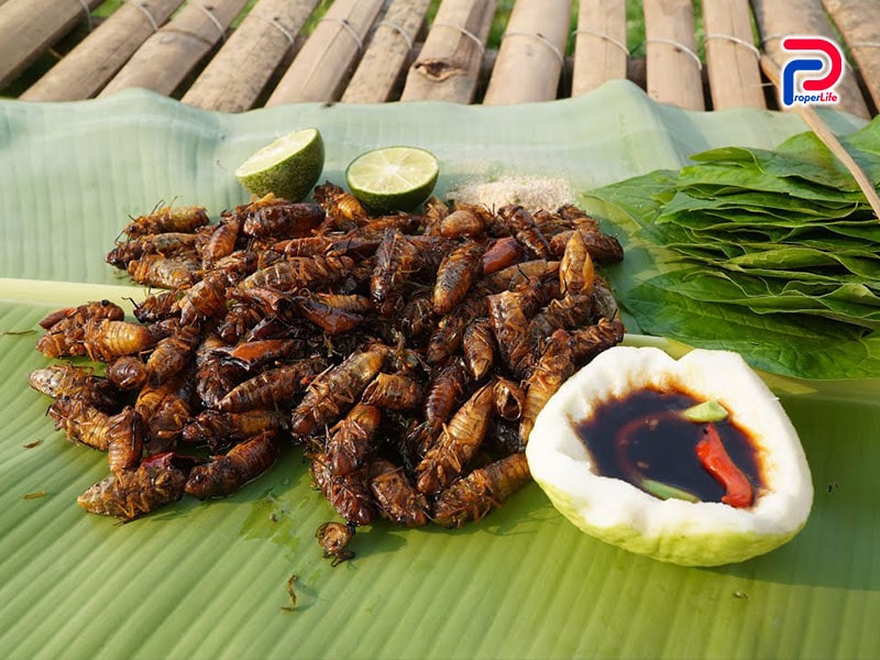 Top 7 món ăn độc lạ ở Việt Nam mà ít ai dám thử